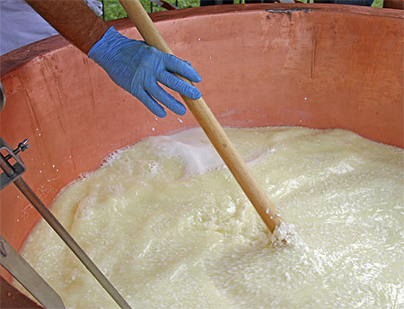 Worker stirring milk in milk vat